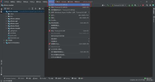 web安全 靶場搭建 ofcms搭建